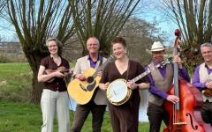 Bluegrass in de tuin van kerk in Den Andel